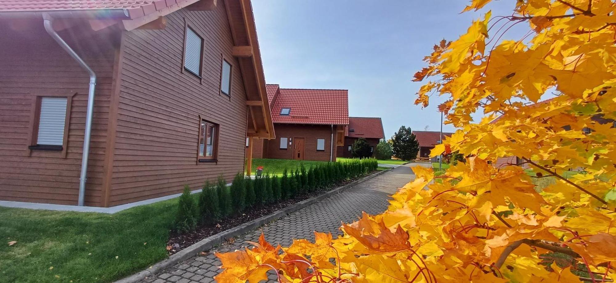 Premiumferienhaus Bhakti ハッセルフェルデ エクステリア 写真